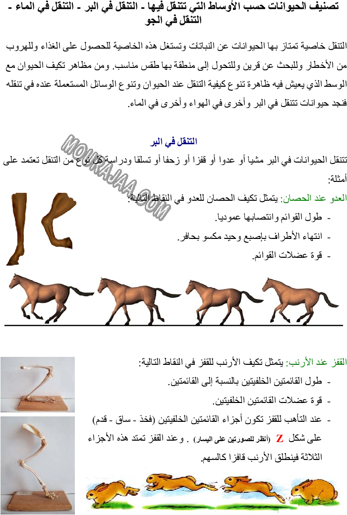 تصنيف الحيوان حسب الاوساط التي تعيش فيه